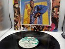 SHABBA RANKS “RAPPIN’ WITH THE LADIES” 1990 UK VINYL LP REGGAE N.MINT NICE.