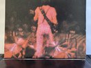 Neil Young Crazy Horse | Live Rust LP 1979 Reprise 2RX 2296 Gatefold 2LP | NM LP