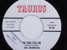Doo Wop 45 SPLENDORS The Echo Tells Me TAURUS VG+ HEAR k