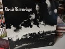 Dead Kennedys Fresh Fruit for Rotting Vegetables vinyl Cherry Red w/ poster