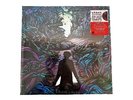 A Day To Remember Homesick 15th Anniversary 2-LP  Translucent Grape Vinyl Record