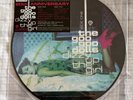 Goo Goo Dolls - Dizzy Up The Girl. Limited Edition Picture Disc Vinyl LP