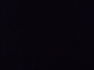 Sabrina Carpenter Bundle For Joshhhhs
