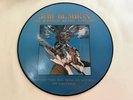 Jimi Hendrix LP PIcture Disc   Rainbow Bridge Concert