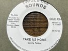 Danny Tucker/All Stars Take Us Home Rare 7-Inch 1980's Boston Reggae
