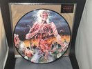 Cannibal Corpse Eaten Back To Life 2013 Picture Disc Vinyl (Butchered Mutilated)