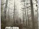 THE CURE -A Forest- Rare Original UK 12” +  Picture Sleeve (Vinyl Record)