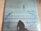 Foals What Went Down Vinyl LP, Signed Edition 2015, New and Sealed