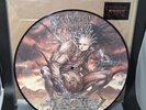 Cannibal Corpse BLOODTHIRST Picture Disc Vinyl (Wretched Spawn Torture Gallery)