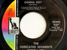 UNRELATED SEGMENTS Where You Gonna Go? 1967 45, Michigan Garage, Liberty, VG+