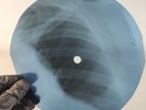 BEATLES I AM THE WALRUS X-Ray USSR Record Roentgen Bone Ribs Music Vinyl