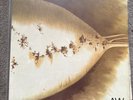 Lambchop Awcmon Noyouvmon Vinyl LP Album