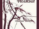 PHAROAH SANDERS - PHAROAH DELUXE EDITION 2LP - Vinyl Record Record - N99z