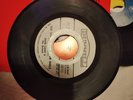 Northern Soul 45 Latin Eddie Cano El Pito (I'll Never Go Back) Dunhill Promo Exc