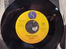 Ramones, Swallow My Pride Stereo/Mono Rare Promo 7-in 45 Sire 1977 W/Pic Sleeve