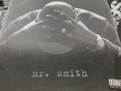 LL Cool J - Mr. Smith Original 1995 Press LP in Picture Cover VG+/VG