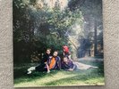 U.F.O.F. by Big Thief (Record, 2019)