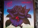 THIN LIZZY BLACK ROSE VINYL ALBUM 1979 FIRST PRESSING BSK3338 NM WARNER