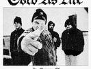 Cold as Life NEW In Memory of 2xLP Silver Vinyl Poster, Hatebreed, Hardcore