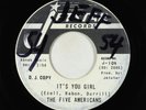 Garage 45 - Five Americans - It's You Girl - Jetstar - promo