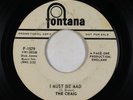 Garage Psych 45 - The Craig - I Must Be Mad - Fontana - promo