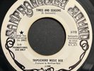 TRIPSICHORD MUSIC BOX - Times And Seasons / Sunday The Third 45rpm Psych 1970 VG