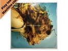 Madonna Ray of Light 1998 12