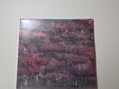 Sleep Token - Even in Arcadia Bad World Liquid Filled Vinyl Sealed Ships Now US
