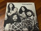 LOOKING GLASS Original 1972 LP Brandy OG Vinyl Record Album N-MINT