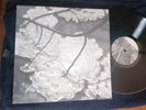 MAURIZIO BIANCHI Armaghedon 1984 LP MINT-