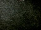 Faust J US T (Vinyl) 12