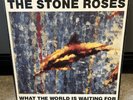 STONE ROSES What The World Is Waiting For - Fools Gold 12