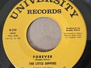 DOO WOP 45 LITTLE DIPPERS ON UNIVERSITY FOREVER/TWO BY FOUR