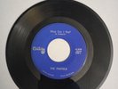 The Pastels /45rpm What Can I Say?/Why Don't You Love Me/N.W. Garage Rare VG+