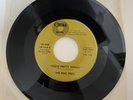 The Real Pros   Those Pretty Things & Just Go On Wishin 45 Cinema 1974 Soul EX