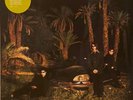 ECHO AND THE BUNNYMEN EVERGREEN LP