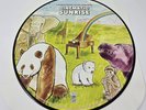 Cinematic Sunrise (2009) 12