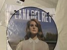 ORIGINAL MINT Lana Del Rey Born to Die Picture Disc Vinyl RSD 2013 Record RARE
