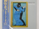 STEELY DAN GAUCHO MCA VIM6243 Japan OBI INSERT VINYL LP