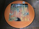SLAYER - HELL AWAITS - 1985 NUMBERED PIC DISC - EXCELLENT
