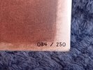 RARE Frightened Rabbit - The Midnight Organ Fight / Quietly Now NUMBERED PRINT
