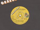 Flaming Emeralds Have Some Everybody Grapevine DEMO Grp 104 Soul Northern Motown