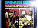 FLEETWOOD MAC w/BUDDY GUY BLUES JAM#1 RARE ORIG'69 WHITE LABEL PROMO LP w/SHRINK