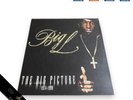 Big L The Big Picture Hip Hop LP A Grade