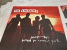 Anthems for Doomed Youth [Fan Box] by The Libertines Vinyl LP