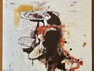 Peter Doherty Grace/Wastelands Vinyl LP MINT / MINT