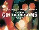 Gin Blossoms Congratulations I'm Sorry (Vinyl) (US IMPORT)