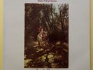 Van Morrison mint condition vinyl album ‘Tupelo Honey’.  Polydor. Never played.
