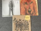 Ty Segall Goodbye Bread, CFM Dichotomy & Oh Sees Grave Blockers 3xLP Lot