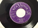 CONJUNTO MODELO “ IGUALITA QUE TU “ 45 RPM/ORIGINAL RCA VICTOR/LEA CONDICION